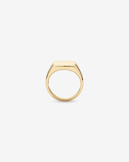 Signet Men's Wedding Band in Solid Gold 2