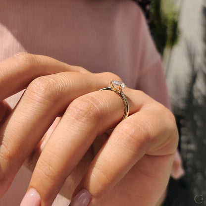 CRD005