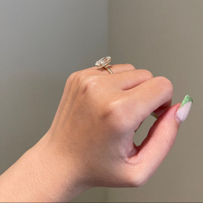 SJ036