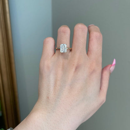 SJ089