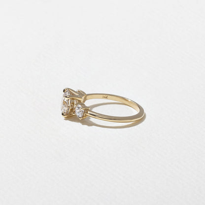 Round Lab Grown Diamond Three Stone Engagement Ring